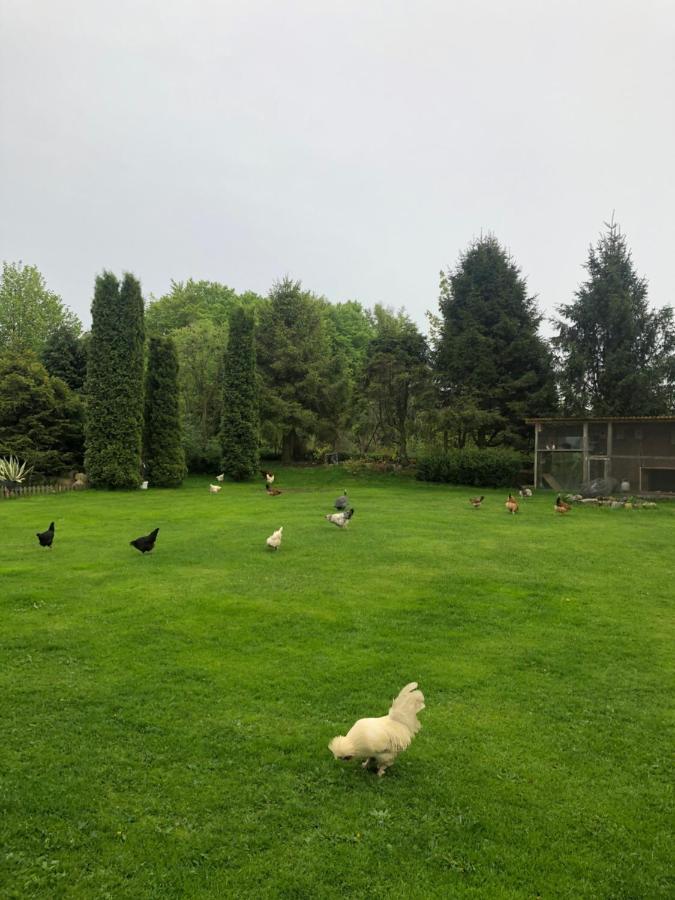 Agroturystyka Nad Stawami Szemud Exterior foto